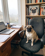 The same artwork, ready to print on canvas - pug beside its canvas portrait in a home study