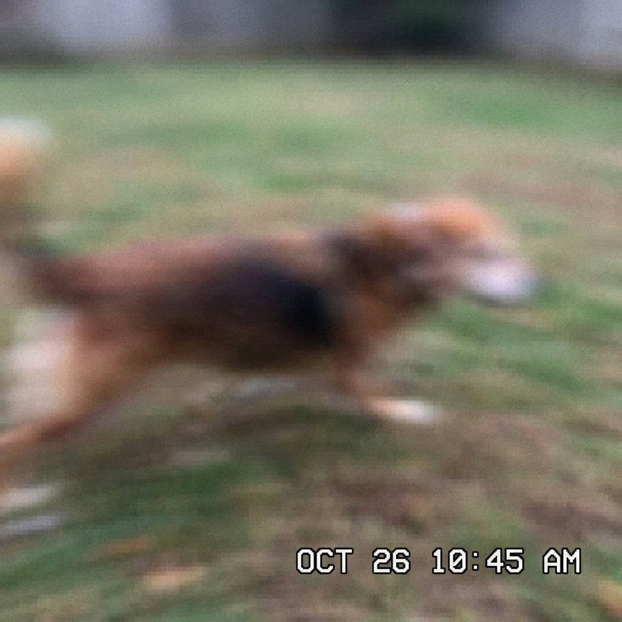 Avoid - Motion blur makes the features hard to see