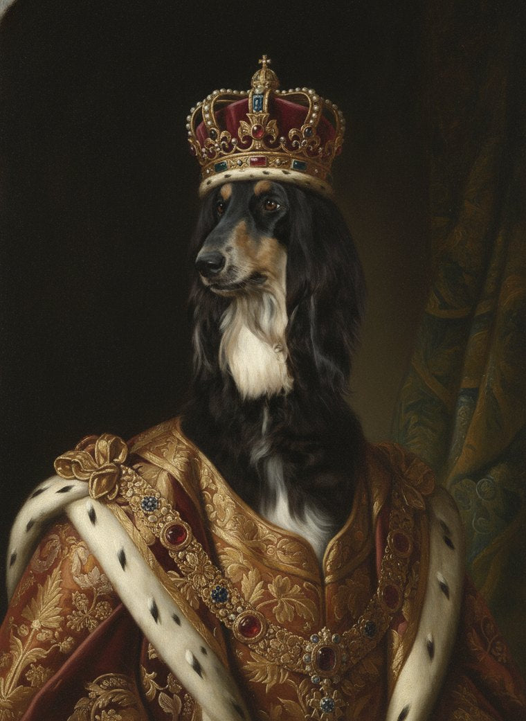 Royal Renaissance portrait of a Afghan Hound
