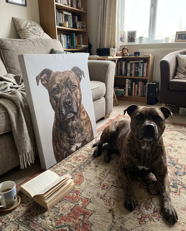 Framed portrait beside the real dog it was made from